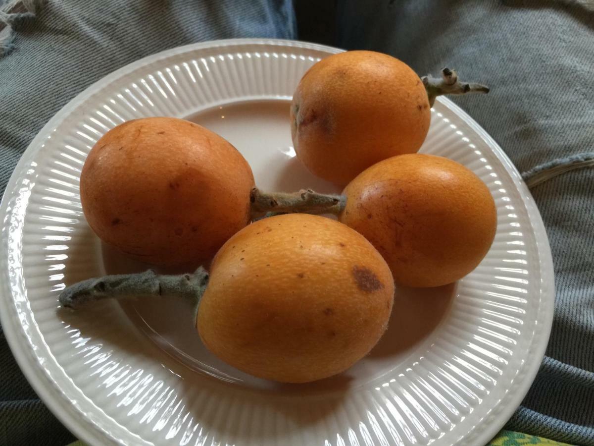 Yurta Naranja Hotel Finestrat Bagian luar foto